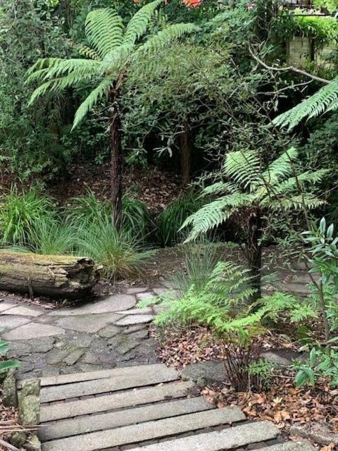 Private Guest Wing - Durie Vale Lodge Whanganui Zewnętrze zdjęcie